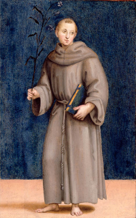 Sant'Antonio da Padova (1504-1505)