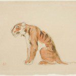 Sketch of a Tiger (Delacroix)